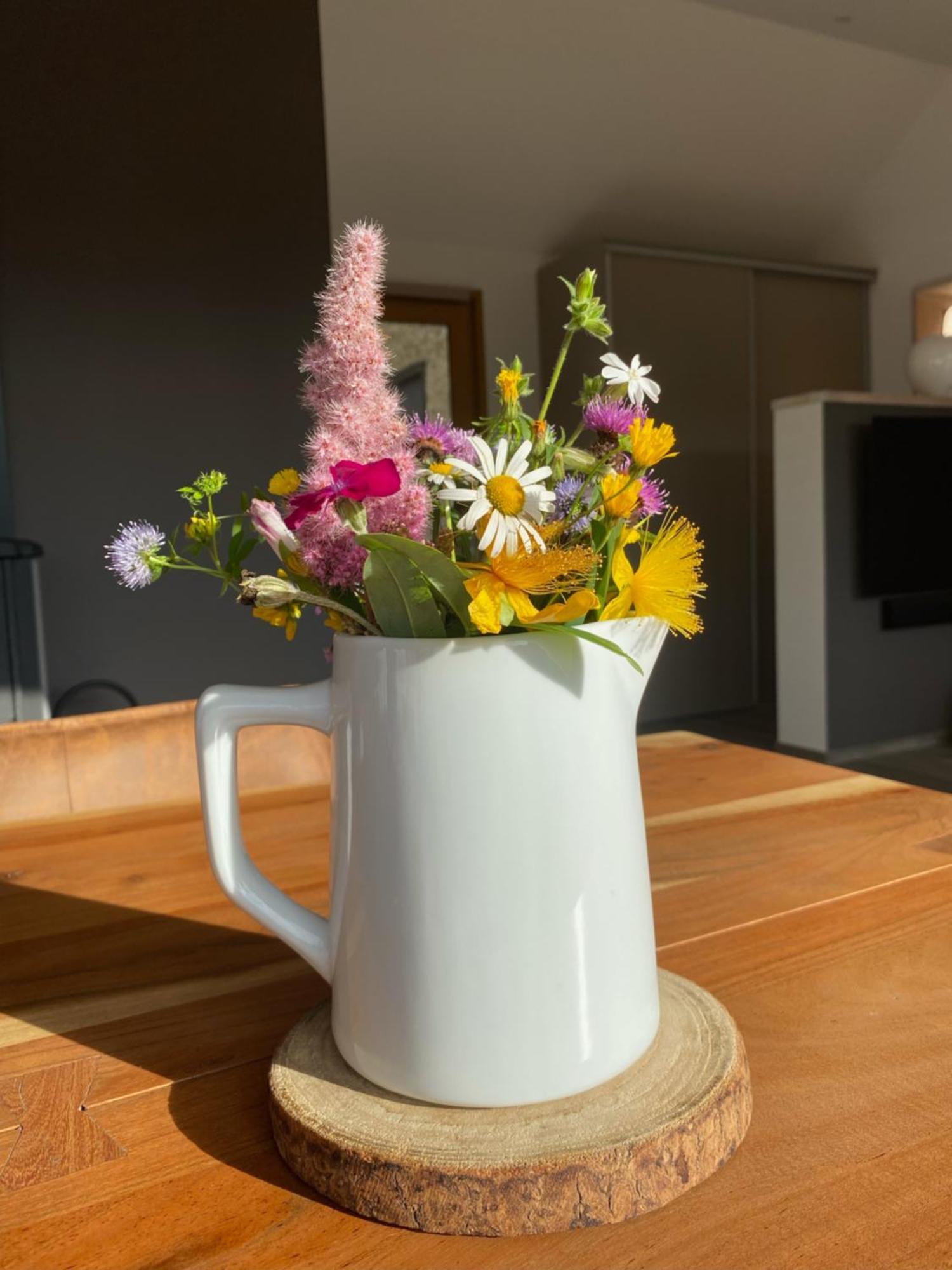 Veyrinas 43 Bed & Breakfast Saint-Yrieix-la-Perche Eksteriør bilde